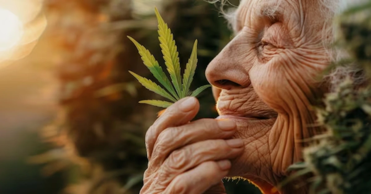 Medical Marijuana for Dementia Patients