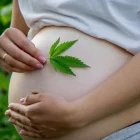 medical marijuana for pregnant women