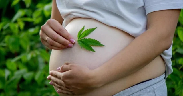 medical marijuana for pregnant women