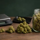 Weed Measurements and Weights