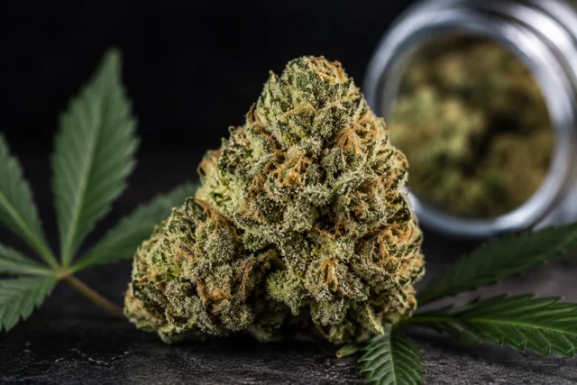Gorilla Glue strain