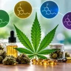 types of THC